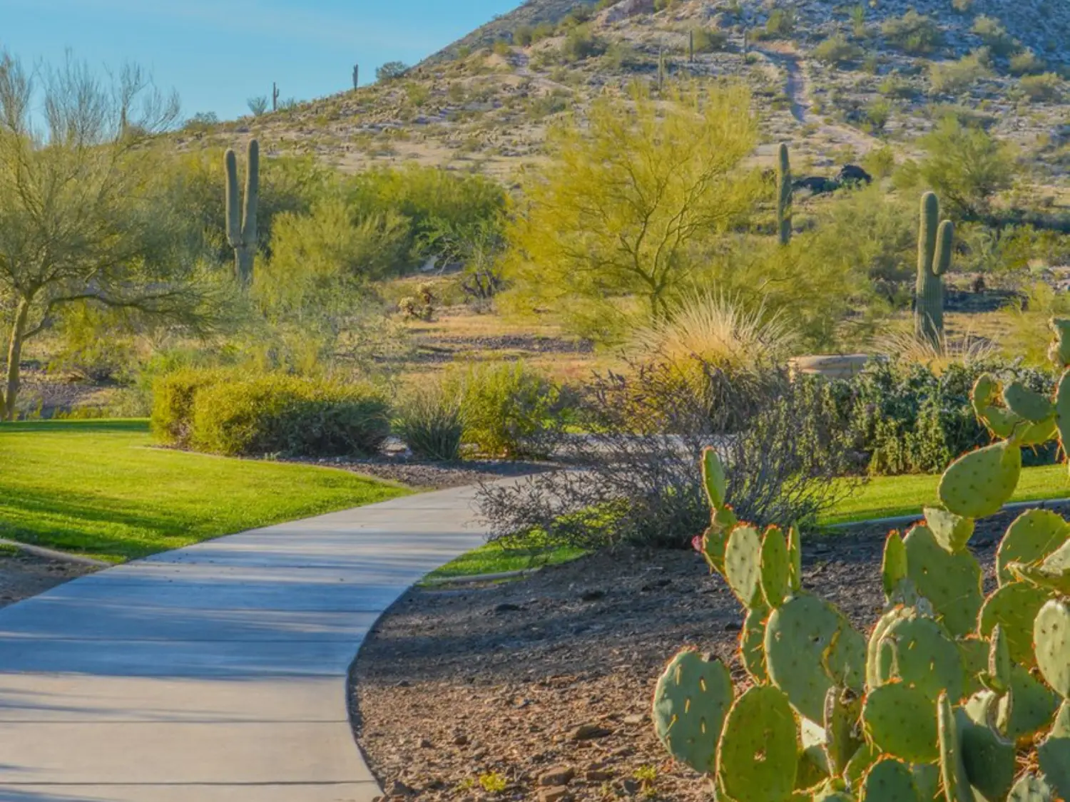 City of Peoria Arizona